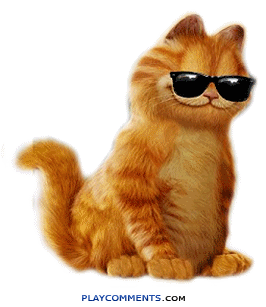 cat Pictures, Images and Photos
