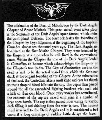 roguetraderdarkangels02.jpg