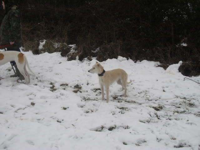 CIMG0371.jpg