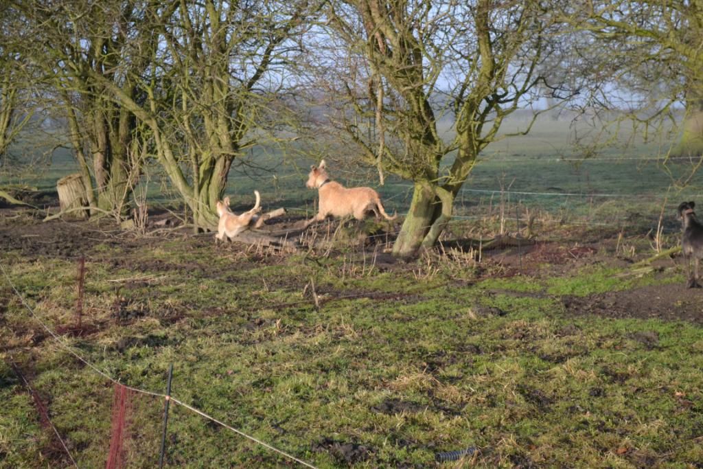 DSC_0177.jpg