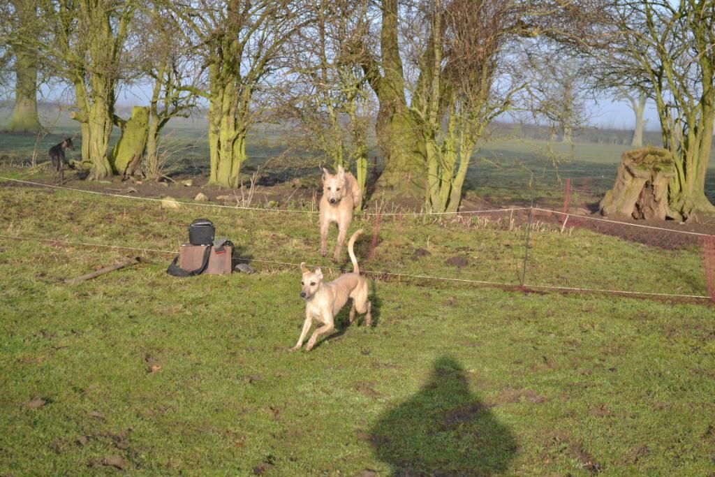 DSC_0180.jpg