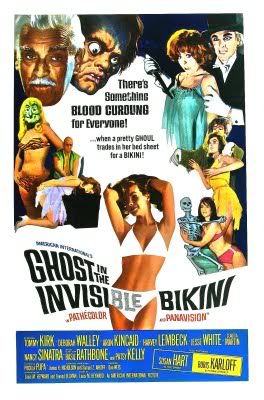 Invisible Bikini poster