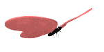 laron. gif,kupu-kupu