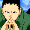 SHIKAMARU Avatar