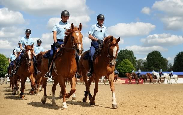 http://i1001.photobucket.com/albums/af138/barrythemod/To%20Forward/frenchhorses.jpg