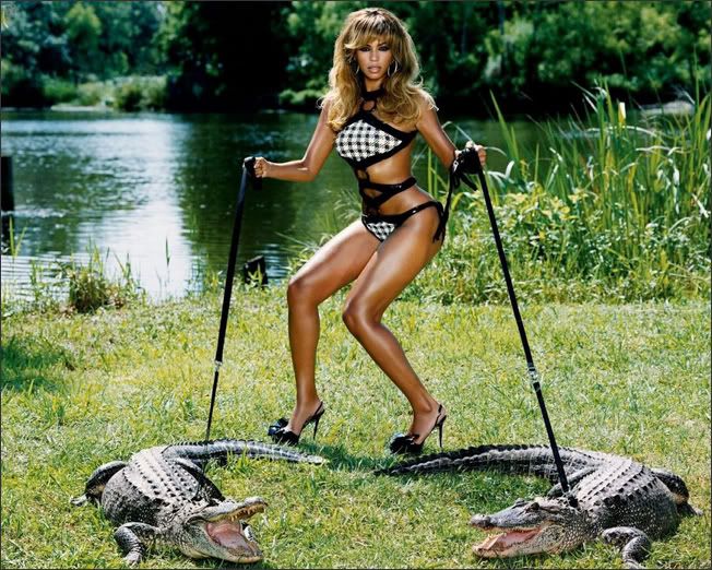Beyonce Crocodile