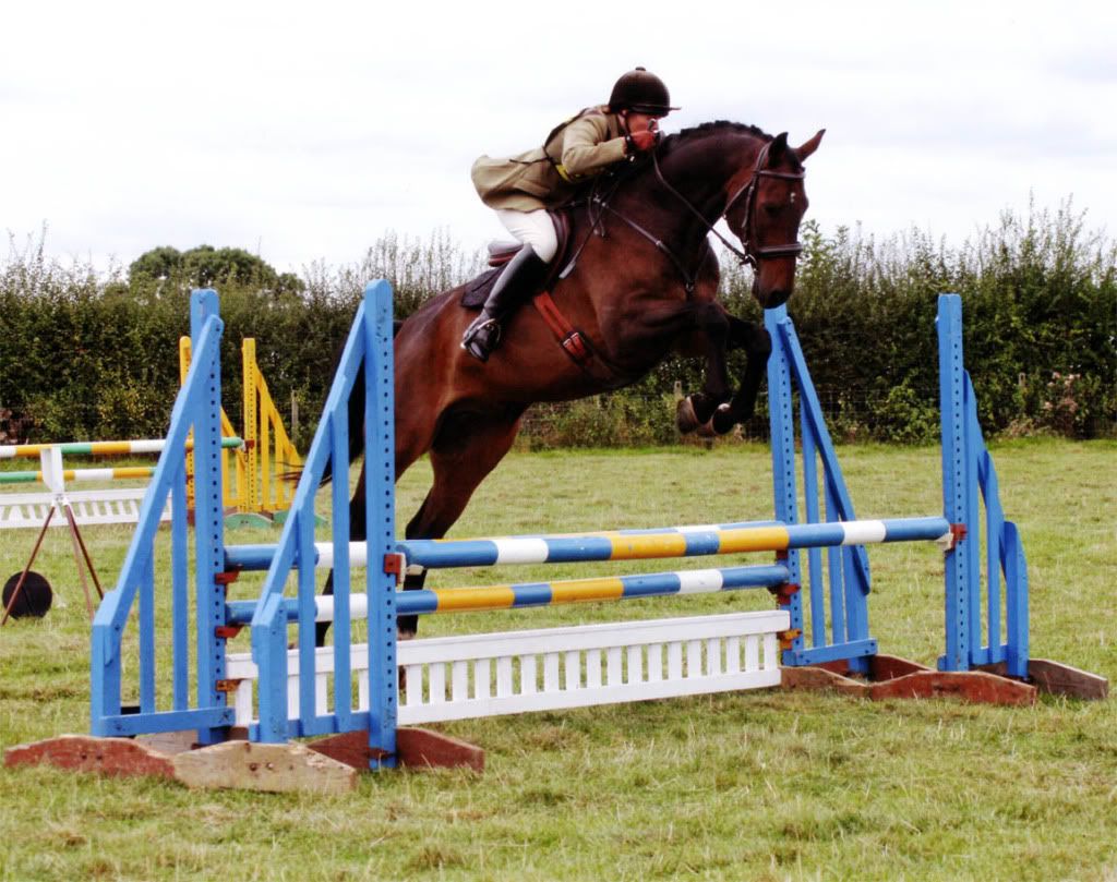 horse jumping fence