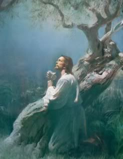 Jesus praying at Getsemane Pictures, Images and Photos